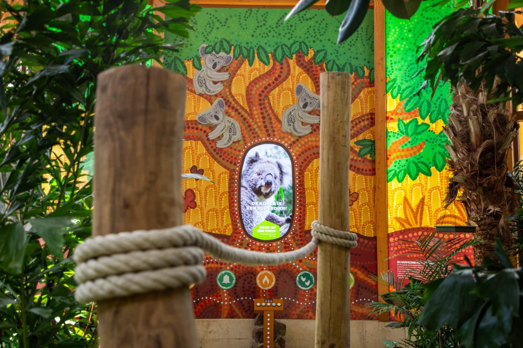 Koalia Ouwehands dierenpark