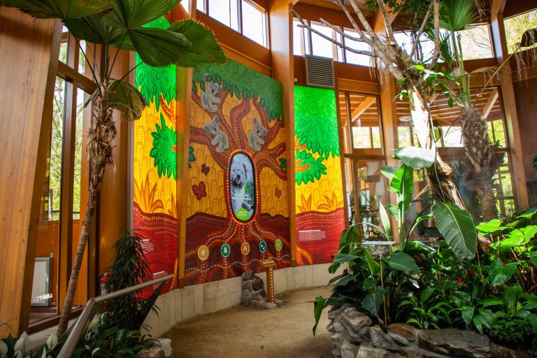 Koalia Ouwehands dierenpark