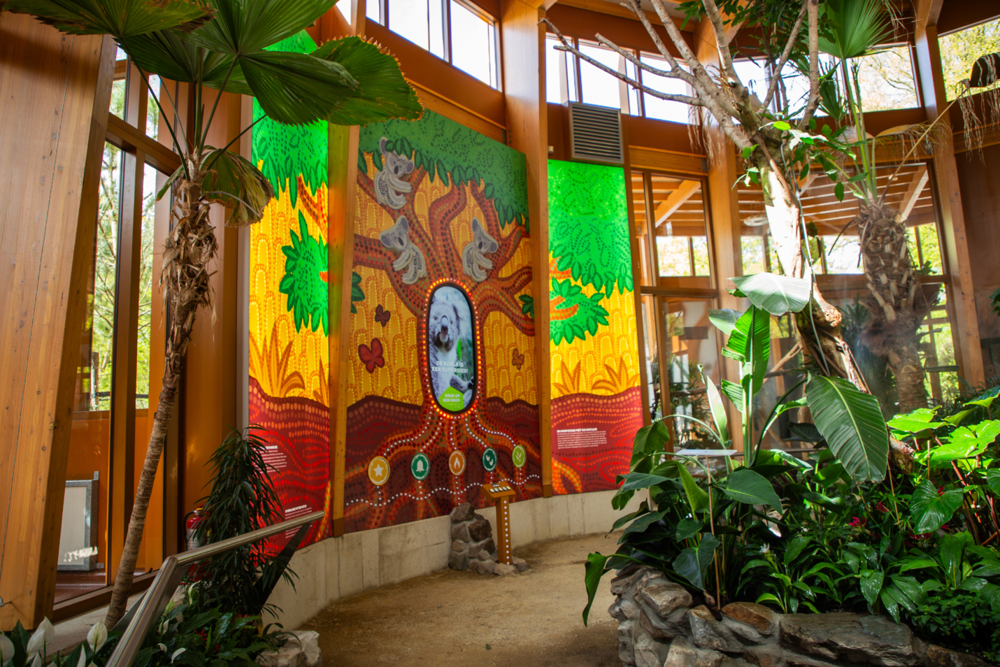 Koalia Ouwehands dierenpark